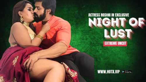 Night Of Lust (2024) Hindi Hotx Short Film